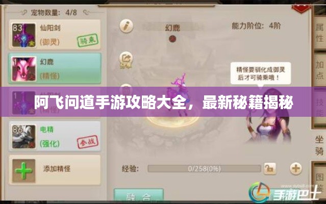 阿飛問道手游攻略大全，最新秘籍揭秘