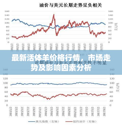 最新活體羊價(jià)格行情，市場走勢及影響因素分析