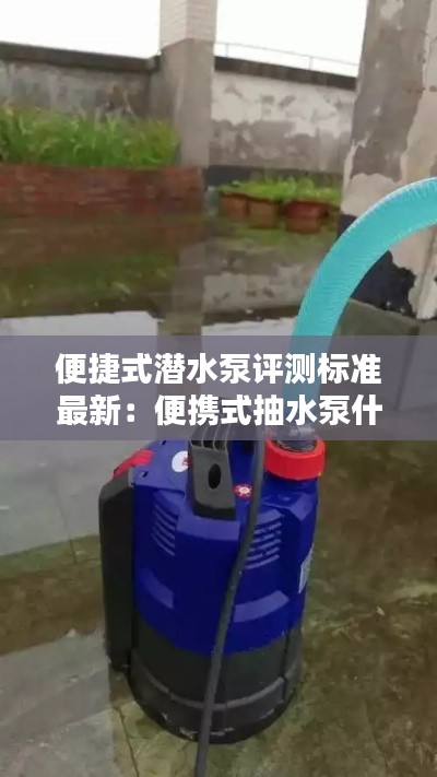 便捷式潛水泵評(píng)測(cè)標(biāo)準(zhǔn)最新：便攜式抽水泵什么牌子的好 
