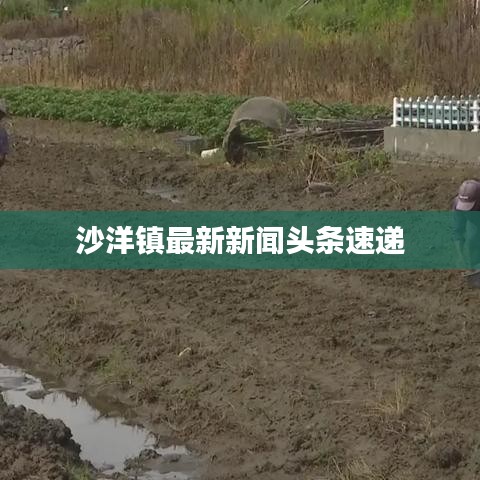沙洋鎮(zhèn)最新新聞頭條速遞