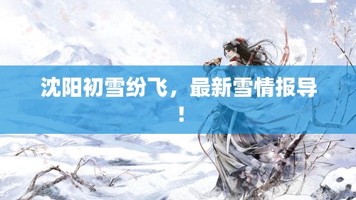 沈陽(yáng)初雪紛飛，最新雪情報(bào)導(dǎo)！
