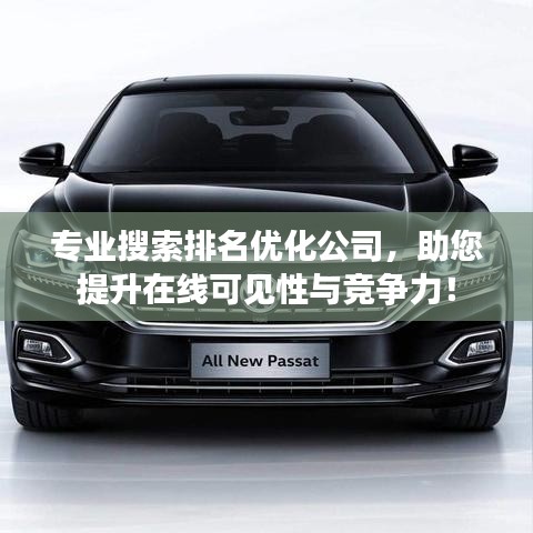 專業(yè)搜索排名優(yōu)化公司，助您提升在線可見性與競爭力！