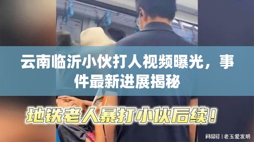 云南臨沂小伙打人視頻曝光，事件最新進(jìn)展揭秘