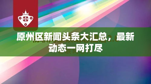 原州區(qū)新聞?lì)^條大匯總，最新動(dòng)態(tài)一網(wǎng)打盡