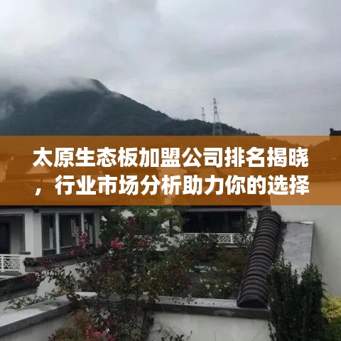 太原生態(tài)板加盟公司排名揭曉，行業(yè)市場(chǎng)分析助力你的選擇！