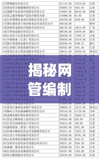 揭秘網(wǎng)管編制廠家排名前十強(qiáng)榜單！