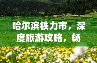 哈爾濱鐵力市，深度旅游攻略，暢游美景不容錯(cuò)過！