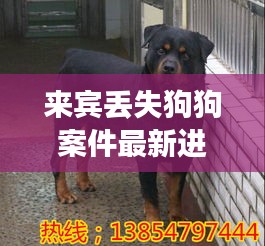 來賓丟失狗狗案件最新進展：來賓狗養(yǎng)殖基地在哪里 