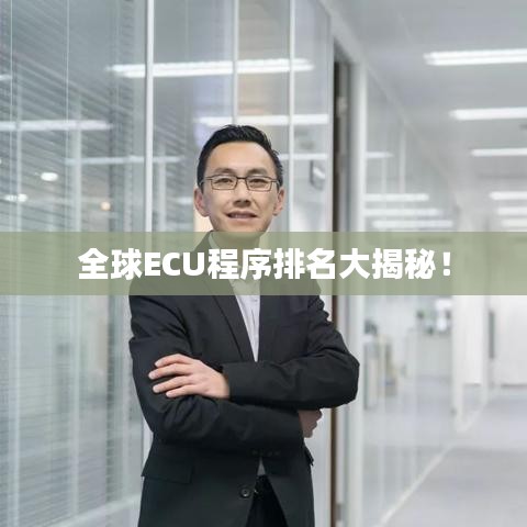 全球ECU程序排名大揭秘！
