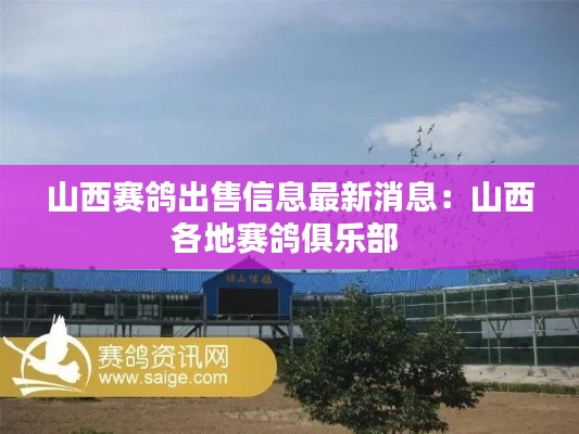 山西賽鴿出售信息最新消息：山西各地賽鴿俱樂(lè)部 