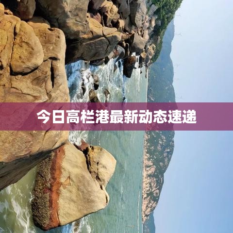 虎背熊腰 第3頁