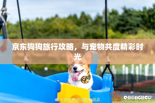 京東狗狗旅行攻略，與寵物共度精彩時光