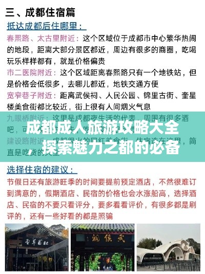 成都成人旅游攻略大全，探索魅力之都的必備指南！