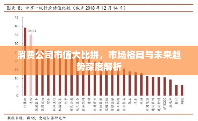 消費(fèi)公司市值大比拼，市場(chǎng)格局與未來(lái)趨勢(shì)深度解析