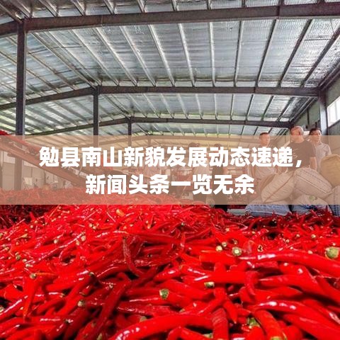 勉縣南山新貌發(fā)展動(dòng)態(tài)速遞，新聞?lì)^條一覽無余