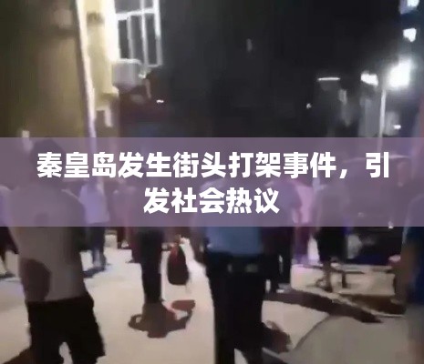 秦皇島發(fā)生街頭打架事件，引發(fā)社會熱議