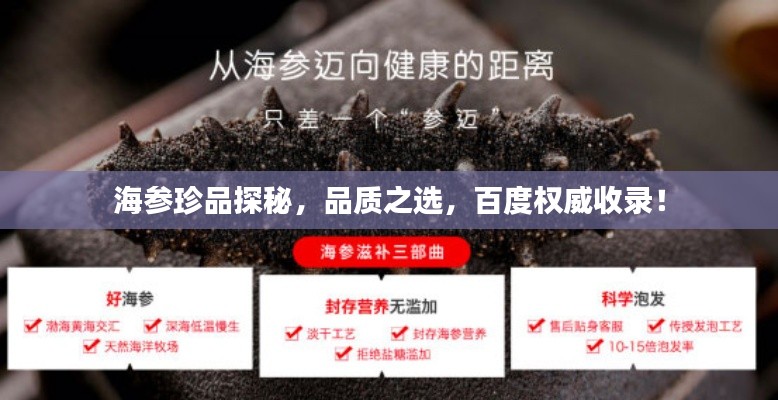 海參珍品探秘，品質(zhì)之選，百度權(quán)威收錄！
