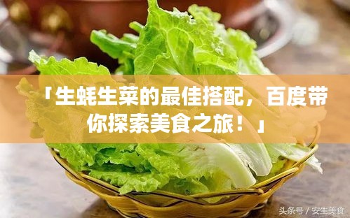 「生蠔生菜的最佳搭配，百度帶你探索美食之旅！」
