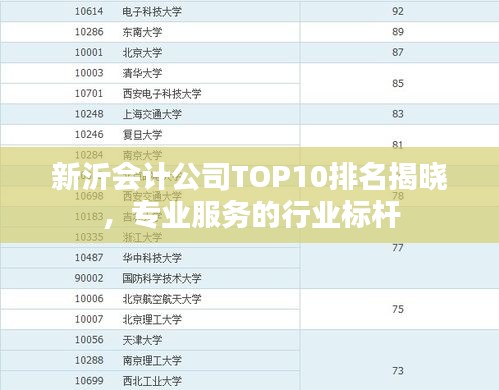 新沂會計公司TOP10排名揭曉，專業(yè)服務(wù)的行業(yè)標桿