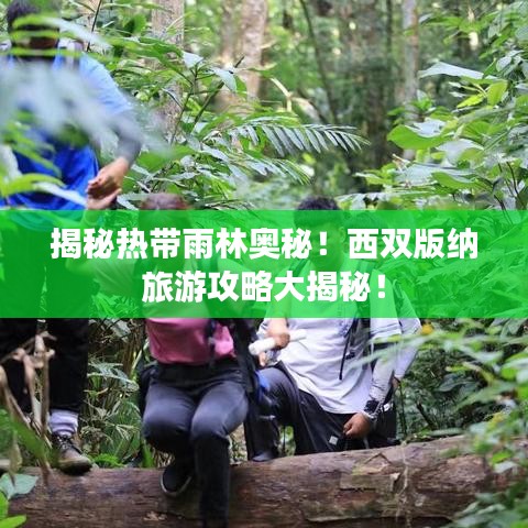 揭秘熱帶雨林奧秘！西雙版納旅游攻略大揭秘！