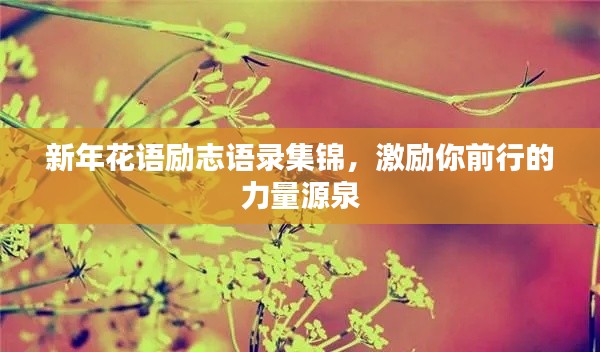 新年花語勵志語錄集錦，激勵你前行的力量源泉