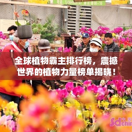 全球植物霸主排行榜，震撼世界的植物力量榜單揭曉！