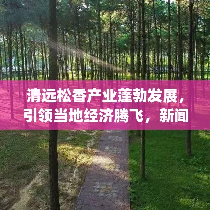 清遠(yuǎn)松香產(chǎn)業(yè)蓬勃發(fā)展，引領(lǐng)當(dāng)?shù)亟?jīng)濟(jì)騰飛，新聞?lì)^條揭秘松香魅力