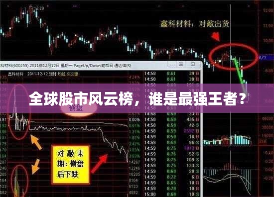 全球股市風云榜，誰是最強王者？