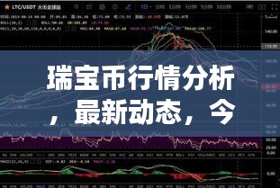 瑞寶幣行情分析，最新動(dòng)態(tài)，今日走勢一網(wǎng)打盡！