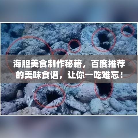張弛不定 第3頁