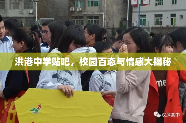 洪港中學(xué)貼吧，校園百態(tài)與情感大揭秘
