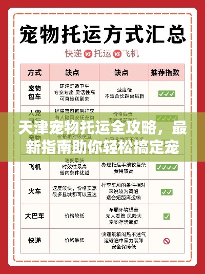 天津?qū)櫸锿羞\(yùn)全攻略，最新指南助你輕松搞定寵物出行！