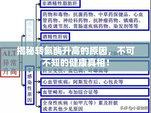 揭秘轉(zhuǎn)氨酶升高的原因，不可不知的健康真相！