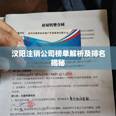 漢陽(yáng)注銷公司榜單解析及排名揭秘
