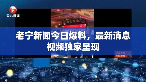 老寧新聞今日爆料，最新消息視頻獨家呈現(xiàn)