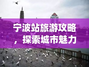 寧波站旅游攻略，探索城市魅力必覽！