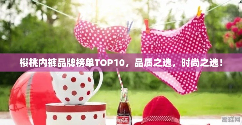 櫻桃內(nèi)褲品牌榜單TOP10，品質(zhì)之選，時(shí)尚之選！