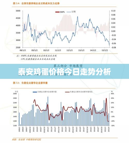 泰安雞蛋價(jià)格今日走勢分析
