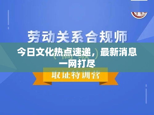 今日文化熱點(diǎn)速遞，最新消息一網(wǎng)打盡