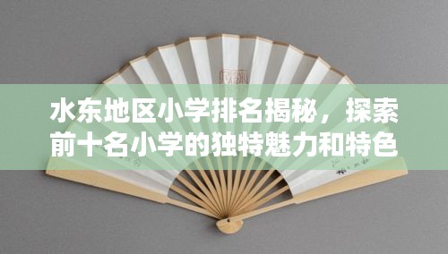 水東地區(qū)小學(xué)排名揭秘，探索前十名小學(xué)的獨特魅力和特色教育之路