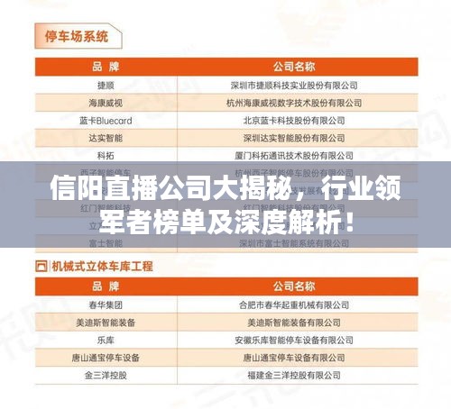 信陽直播公司大揭秘，行業(yè)領(lǐng)軍者榜單及深度解析！