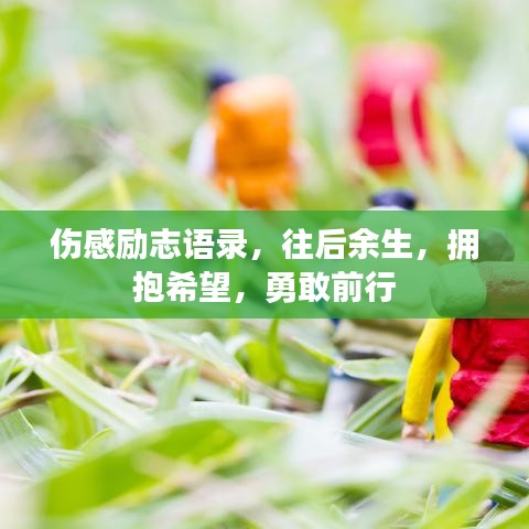 傷感勵志語錄，往后余生，擁抱希望，勇敢前行