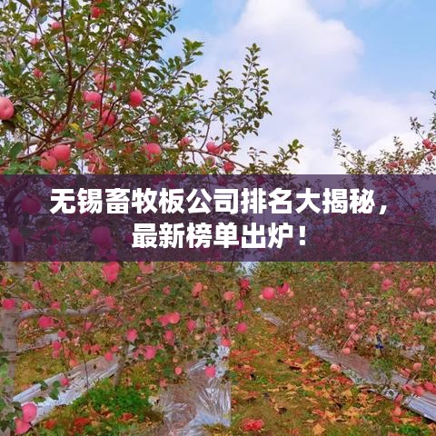 無錫畜牧板公司排名大揭秘，最新榜單出爐！