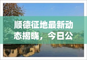 順德征地最新動態(tài)揭曉，今日公告刷新征地進展！