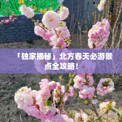 「獨(dú)家揭秘」北方春天必游景點(diǎn)全攻略！