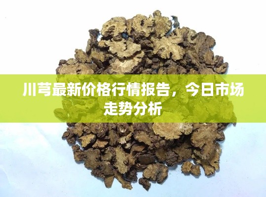 川芎最新價格行情報告，今日市場走勢分析
