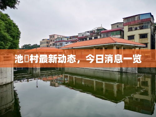 池滘村最新動(dòng)態(tài)，今日消息一覽