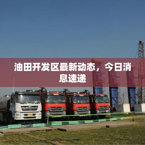 油田開發(fā)區(qū)最新動態(tài)，今日消息速遞
