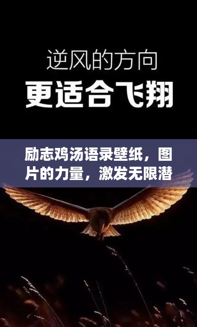 勵(lì)志雞湯語錄壁紙，圖片的力量，激發(fā)無限潛能