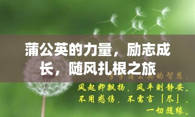 蒲公英的力量，勵(lì)志成長(zhǎng)，隨風(fēng)扎根之旅